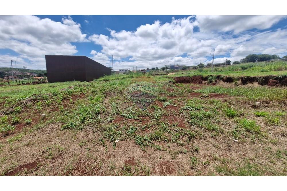 Terreno - Venda - Dumont , São Paulo - WhatsApp Image 2026-02-27 at 12.52.29 (11).jpeg - 780181011-292