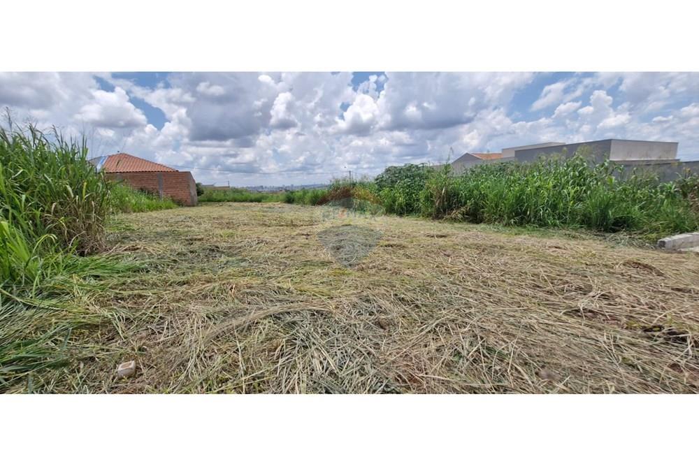 Terreno - Venda - Ribeirão Preto , São Paulo - WhatsApp Image 2025-01-13 at 18.45.43 (1).jpeg - 780181011-259