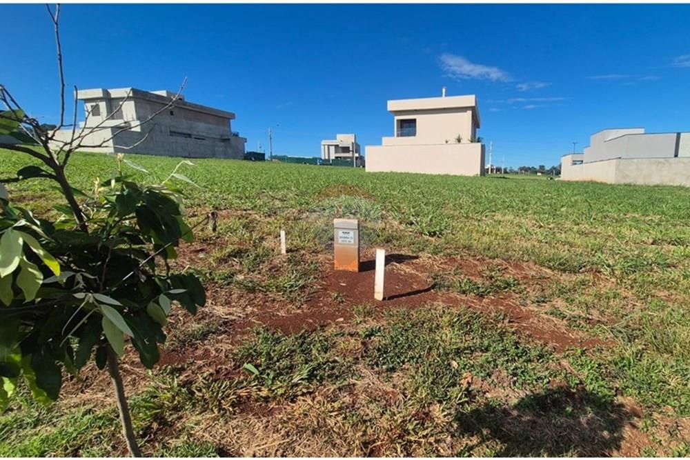 Terreno - Venda - Ribeirão Preto , São Paulo - TERRENO ALTO DO CASTELO 3.jpeg - Layout aberto - 780091085-21