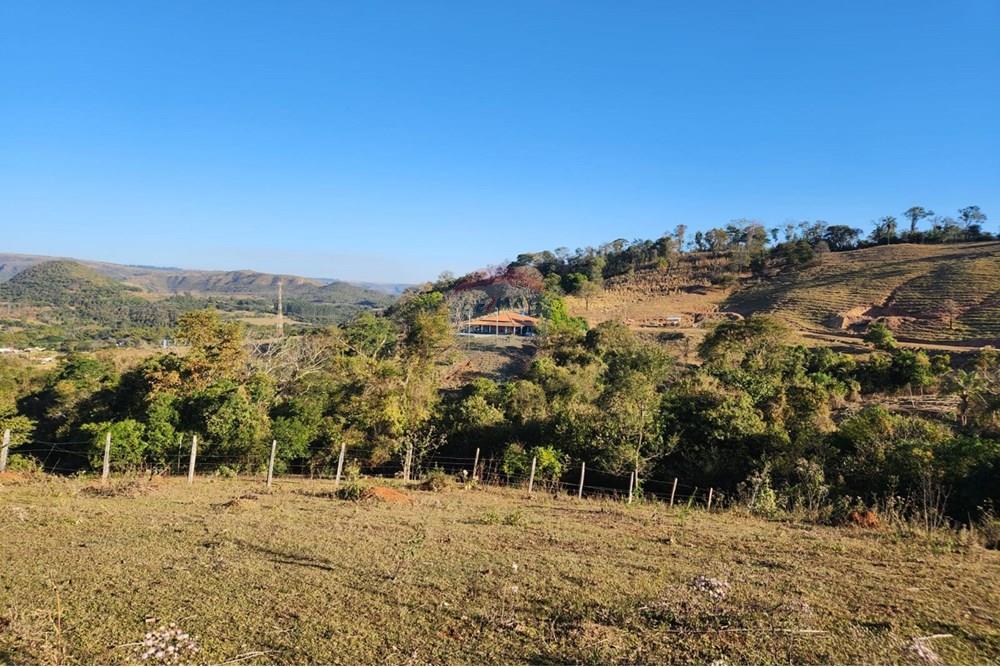 Chácara / Sítio / Fazenda - Venda - Pratápolis , Minas Gerais - WhatsApp Image 2025-08-16 at 15.53.01.jpeg - 780191018-8