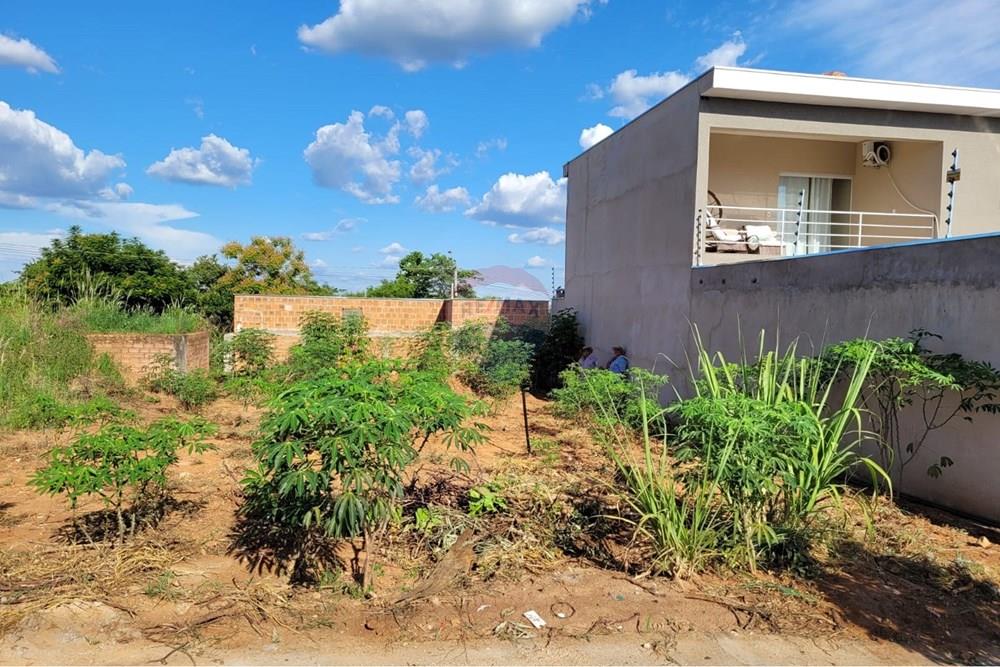 Terreno - Venda - Monte Alto , São Paulo - WhatsApp Image 2026-02-23 at 14.55.44 (1).jpeg - 780271058-14