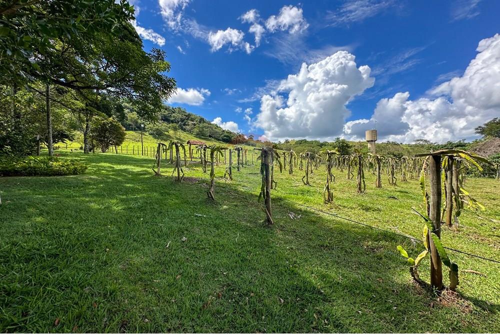 Chácara / Sítio / Fazenda - Venda - Cajuru , São Paulo - IMG_9442.jpg - 780241009-47