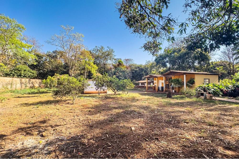 Chácara / Sítio / Fazenda - Venda - Ribeirão Preto , São Paulo - Itanhanga-34.jpg - Jardim Externo - 780071024-78