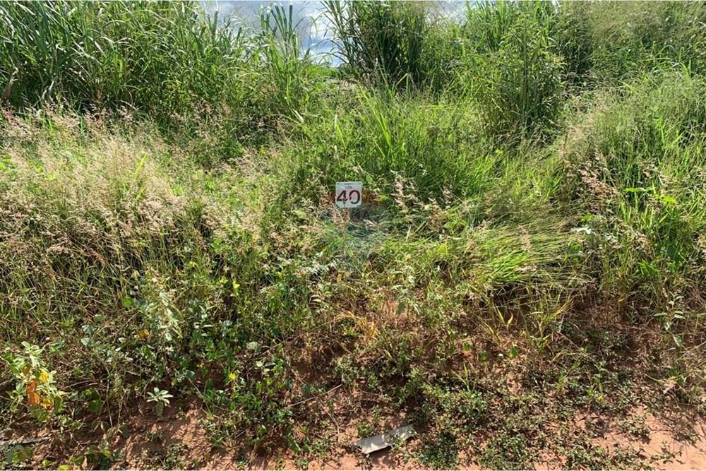 Terreno - Venda - Franca , São Paulo - WhatsApp Image 2026-03-16 at 14.56.42.jpeg - 780231106-4