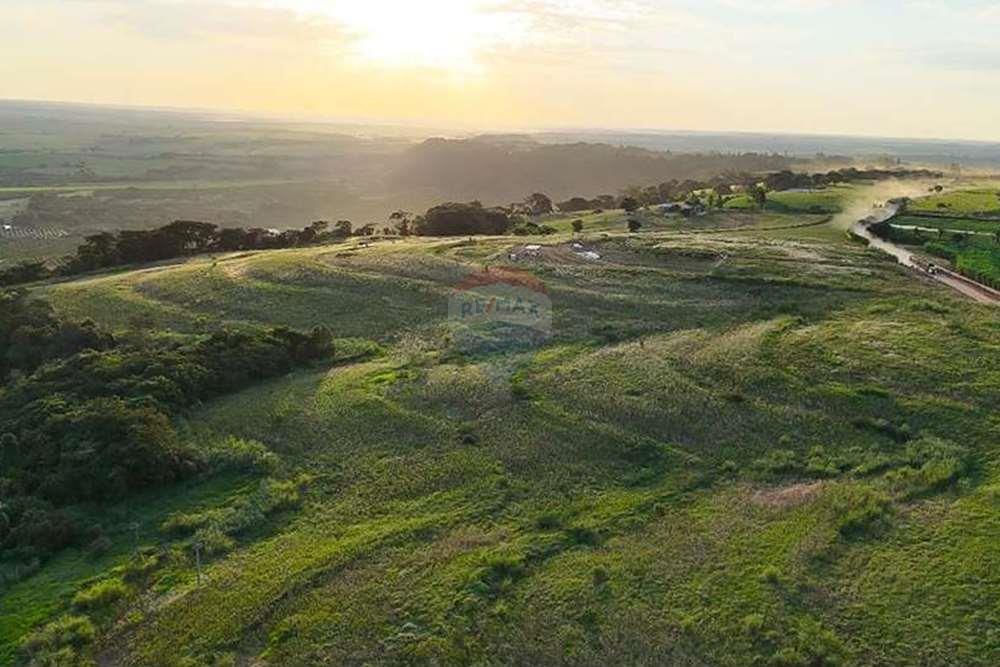 Chácara / Sítio / Fazenda - Venda - Monte Alto , São Paulo - foto 16.jpg - 780271059-44