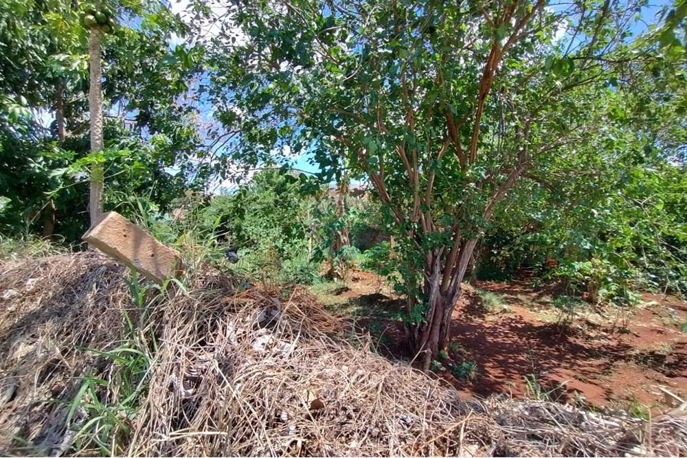 Terreno - Venda - Ribeirão Preto , São Paulo - WhatsApp Image 2025-11-04 at 14.10.28 (2).jpeg - 780181003-72