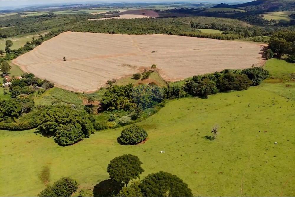 Chácara / Sítio / Fazenda - Venda - Cajuru , São Paulo - IMG_9369.jpg - 780241009-47