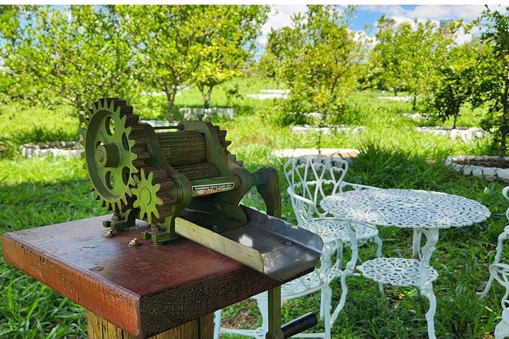 Chácara / Sítio / Fazenda - Venda - São Sebastião do Paraíso , Minas Gerais - 4.jpg - 780251022-11