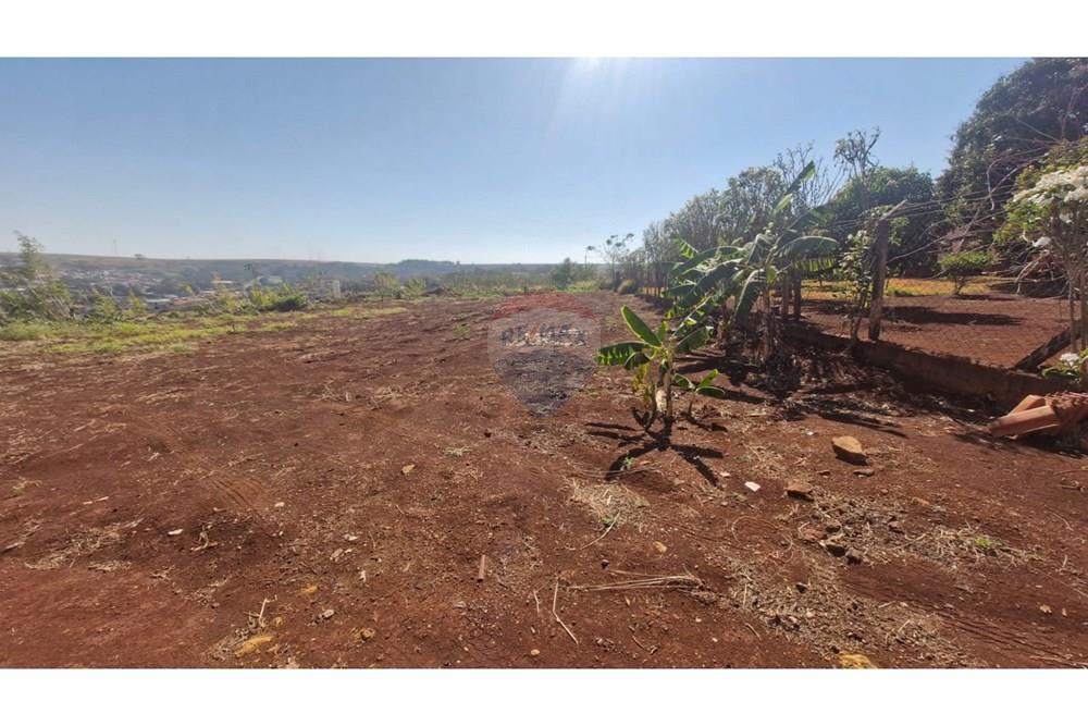 Chácara / Sítio / Fazenda - Venda - Dumont , São Paulo - WhatsApp Image 2025-09-03 at 09.53.18.jpeg - 780181011-281