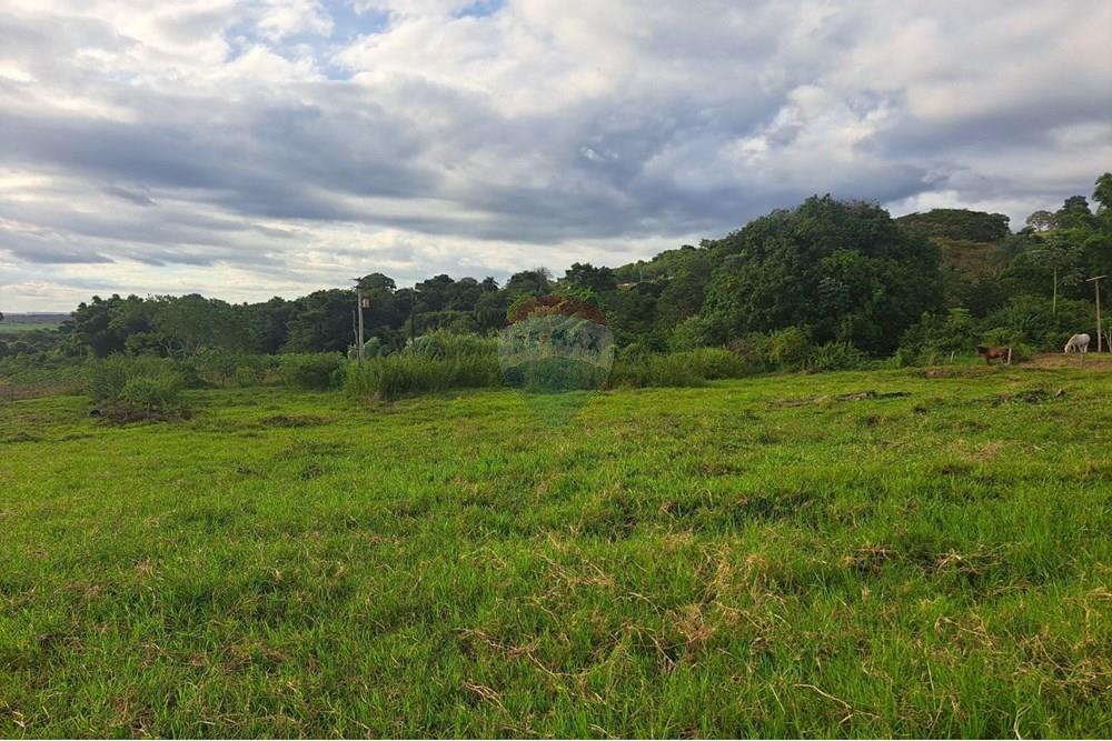 Fazenda - Venda - Cajuru , São Paulo - IMG-20250406-WA0129.jpg - 780171030-57