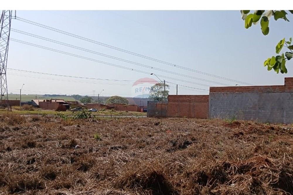 Terreno - Venda - Ribeirão Preto , São Paulo - 12.jpeg - 780171003-243