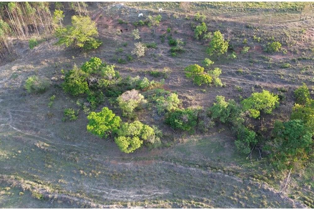 Chácara / Sítio / Fazenda - Venda - Santo Antônio da Alegria , São Paulo - DJI_0394.JPG - 780171030-68