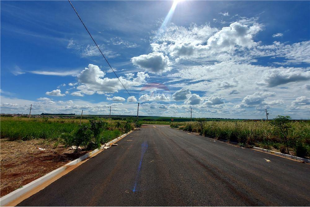 Terreno - Venda - Cravinhos , São Paulo - 13 - 780071037-60