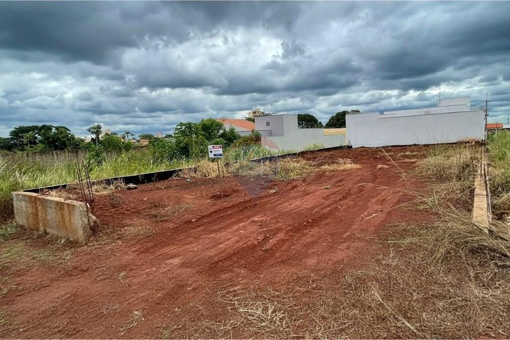 Terreno - Venda - São Joaquim da Barra , São Paulo - WhatsApp Image 2026-01-23 at 16.03.10.jpeg - 780301001-33