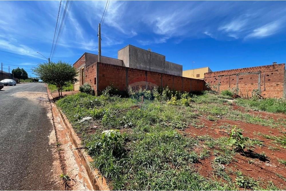 Terreno - Venda - São Joaquim da Barra , São Paulo - IMG-20251126-WA0074.jpg - 780301001-20