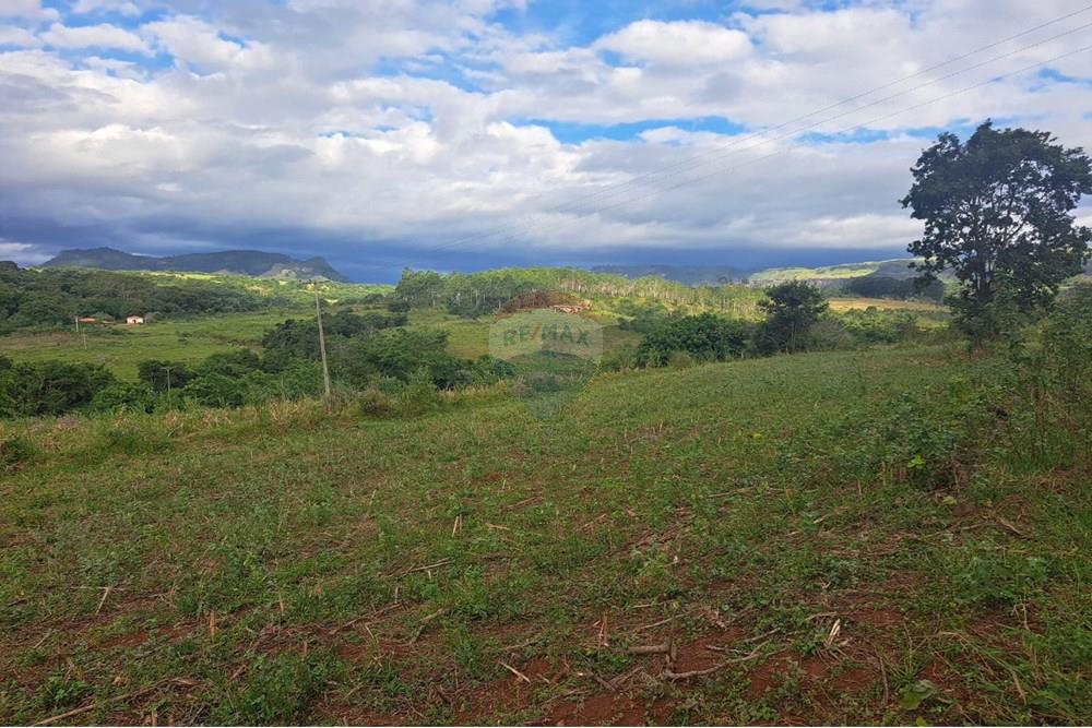 Fazenda - Venda - Cajuru , São Paulo - IMG-20250406-WA0155.jpg - 780171030-57