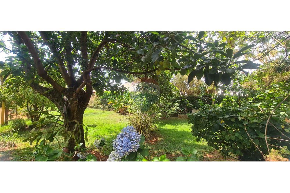 Casa de Condomínio - Venda - Jardinópolis , São Paulo - 40 - 780181011-287