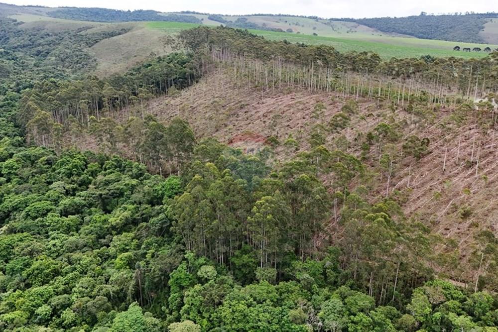 Chácara / Sítio / Fazenda - Venda - Aiuruoca , Minas Gerais - DJI_20241113153731_0315_D.JPG - 780251035-5