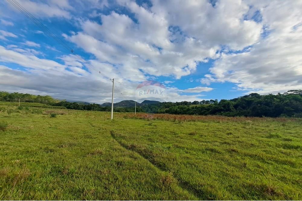 Chácara / Sítio / Fazenda - Venda - Cajuru , São Paulo - IMG-20250406-WA0142.jpg - 780171030-59