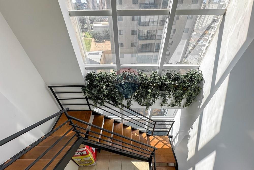 Apartamento - Venda - Ribeirão Preto , São Paulo - IMG_6786.jpg - 780181035-347