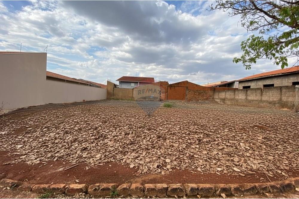 Terreno - Venda - São Joaquim da Barra , São Paulo - 19.jpg - 780301006-45