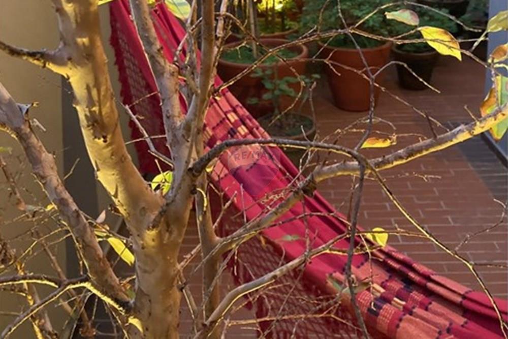 Apartamento - Alugar - Ribeirão Preto , São Paulo - 29.jpg - 780241037-68