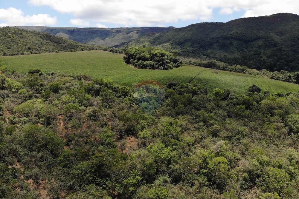 Chácara / Sítio / Fazenda - Venda - Delfinópolis , Minas Gerais - DJI_0049.JPG - 780251001-45