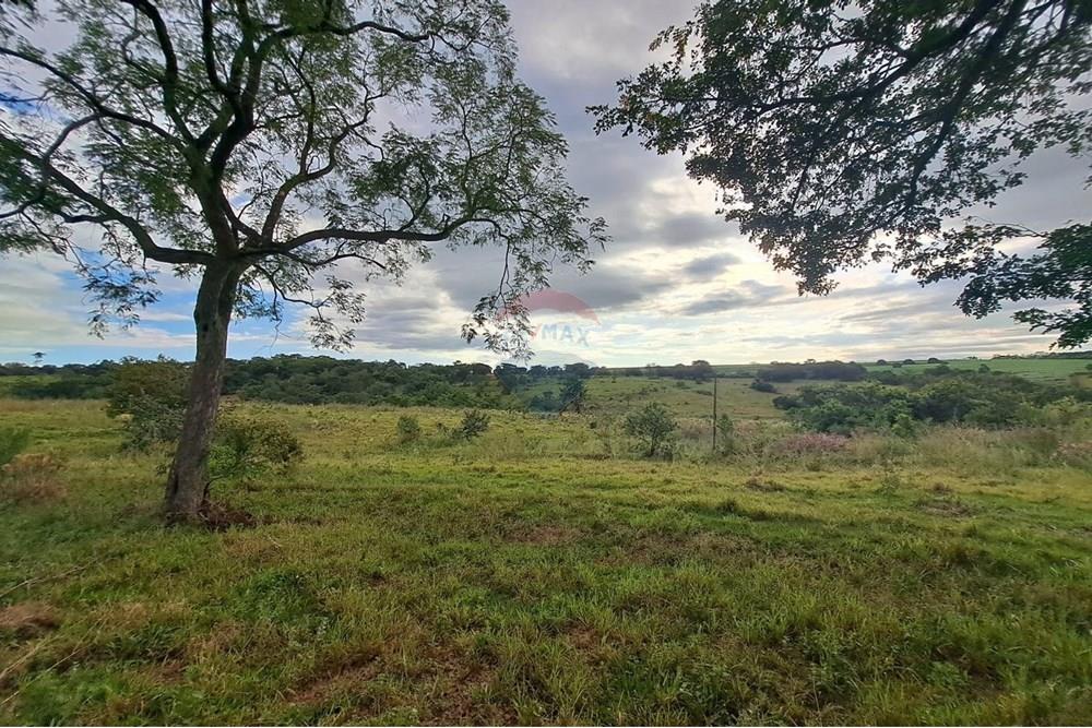 Fazenda - Venda - Cajuru , São Paulo - IMG-20250406-WA0108.jpg - 780171030-57