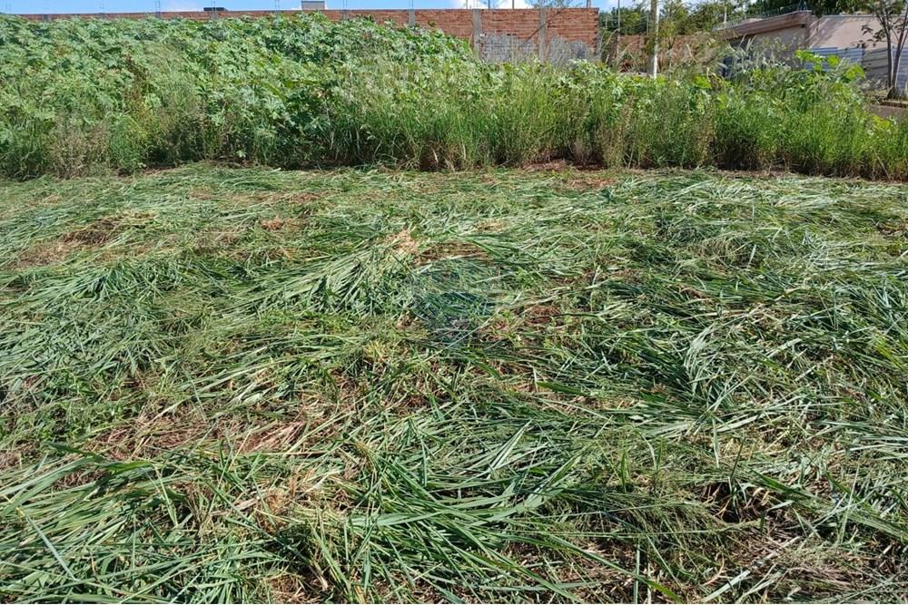 Terreno - Venda - Ribeirão Preto , São Paulo - WhatsApp Image 2025-04-22 at 21.05.58 (2).jpeg - 780101051-1