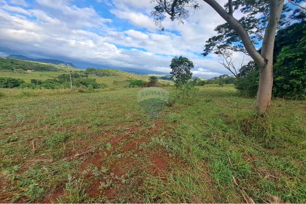 Fazenda - Venda - Cajuru , São Paulo - IMG-20250406-WA0156.jpg - 780171030-57