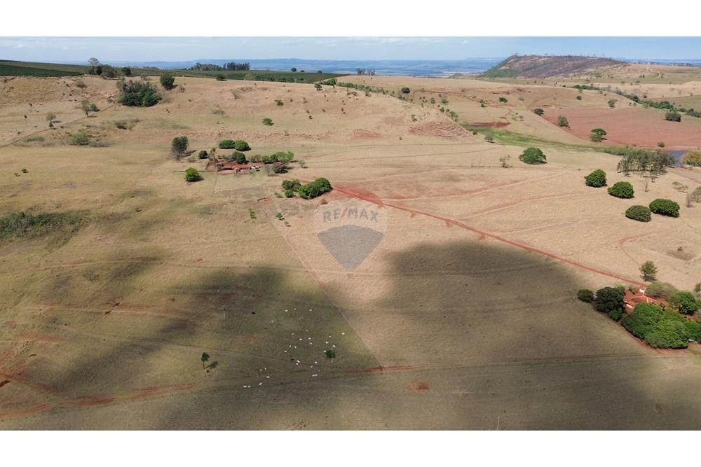 Chácara / Sítio / Fazenda - Venda - Cajuru , São Paulo - DJI_0278.JPG - 780171030-77