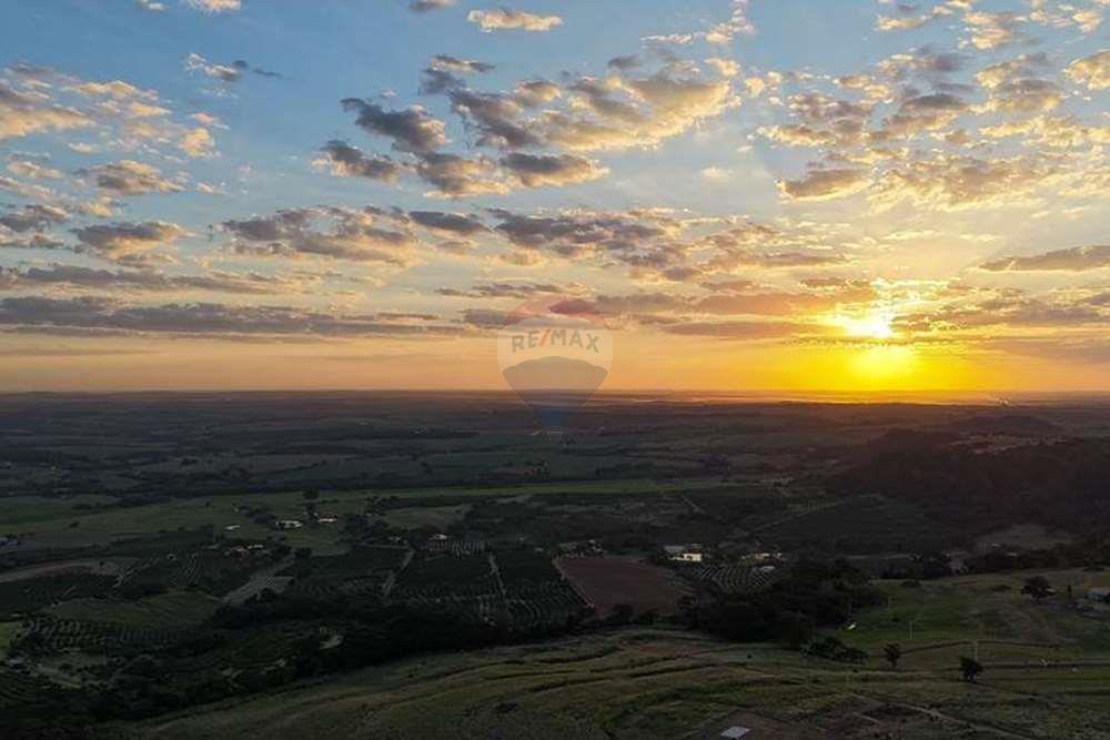 Chácara / Sítio / Fazenda - Venda - Monte Alto , São Paulo - foto 3.jpg - 780271059-44