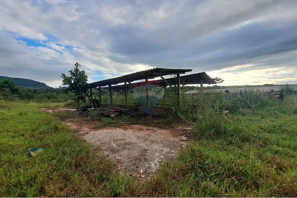 Chácara / Sítio / Fazenda - Venda - Cajuru , São Paulo - IMG-20250406-WA0102.jpg - 780171030-59