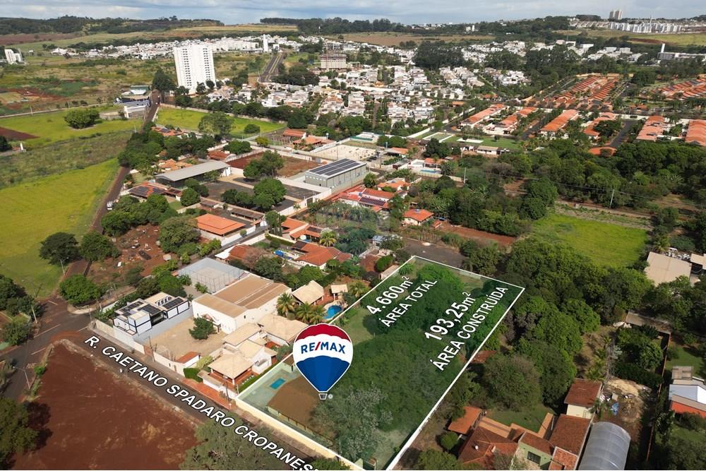 Chácara / Sítio / Fazenda - Venda - Ribeirão Preto , São Paulo - 2025-06-09 Edilene Monzani_Fotos-Artboard 7.jpg - 780201013-67