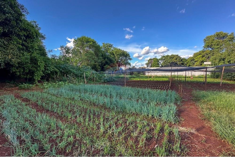 Terreno - Venda - Ribeirão Preto , São Paulo - 17.jpg - 780241010-16