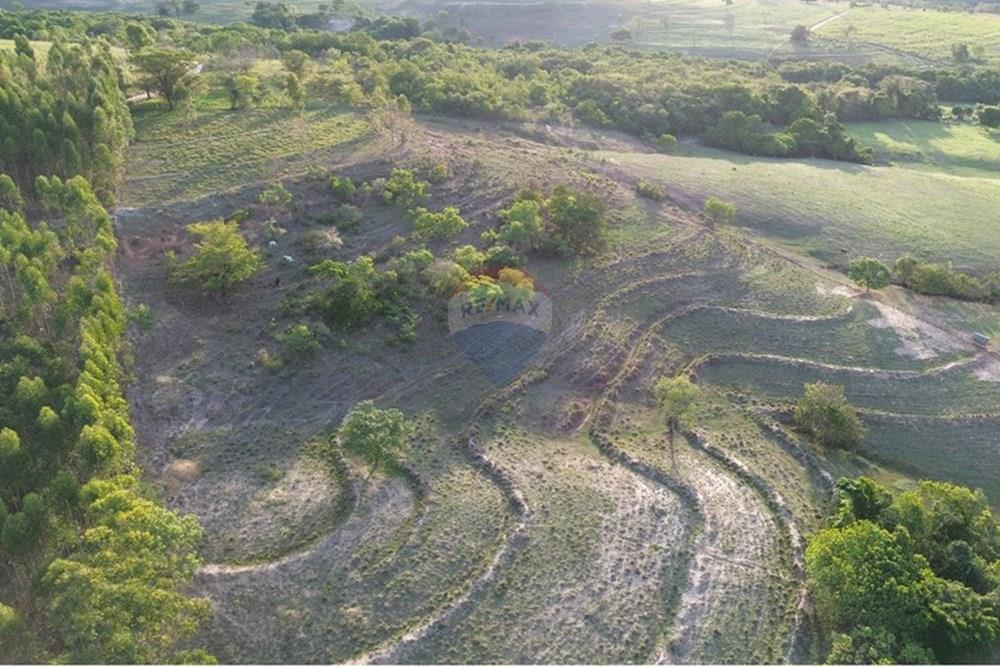 Chácara / Sítio / Fazenda - Venda - Santo Antônio da Alegria , São Paulo - DJI_0404.JPG - 780171030-68