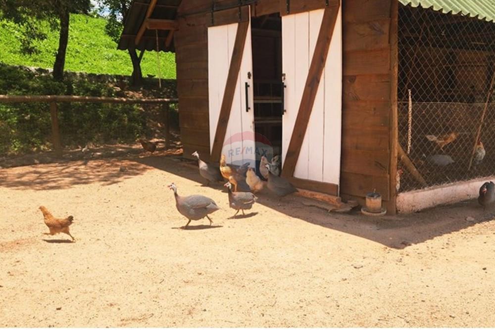 Chácara / Sítio / Fazenda - Venda - São Sebastião do Paraíso , Minas Gerais - 14.jpg - 780251022-11
