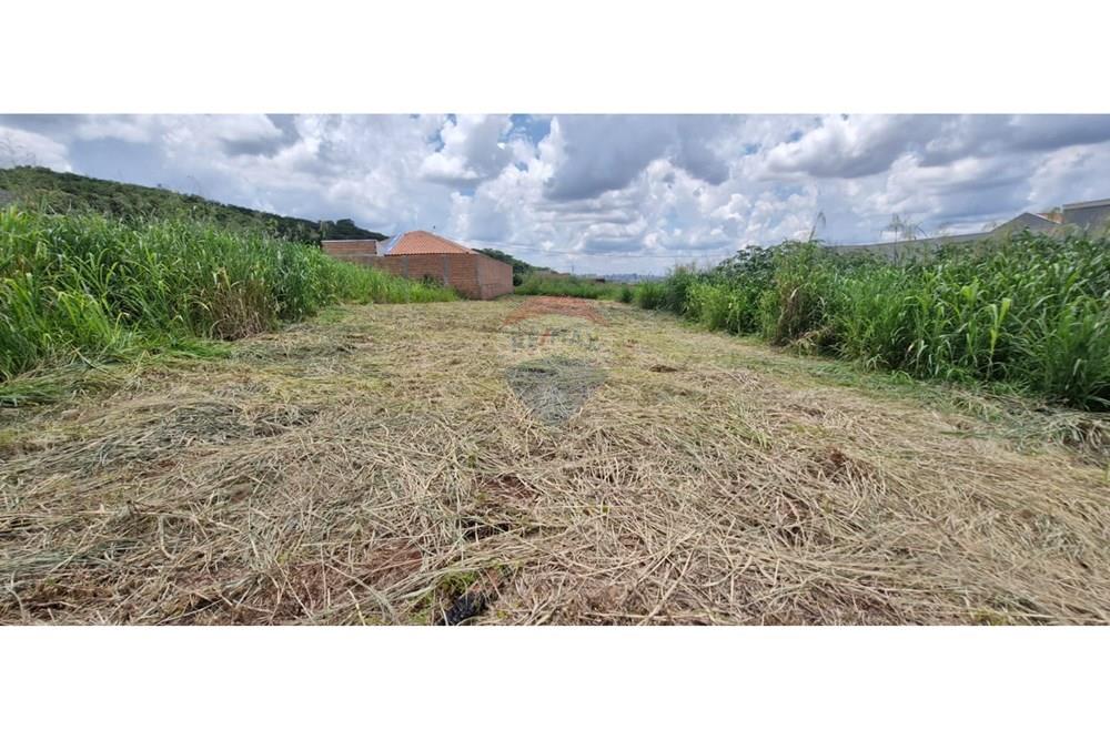 Terreno - Venda - Ribeirão Preto , São Paulo - WhatsApp Image 2025-01-13 at 18.45.45 (2).jpeg - 780181011-259