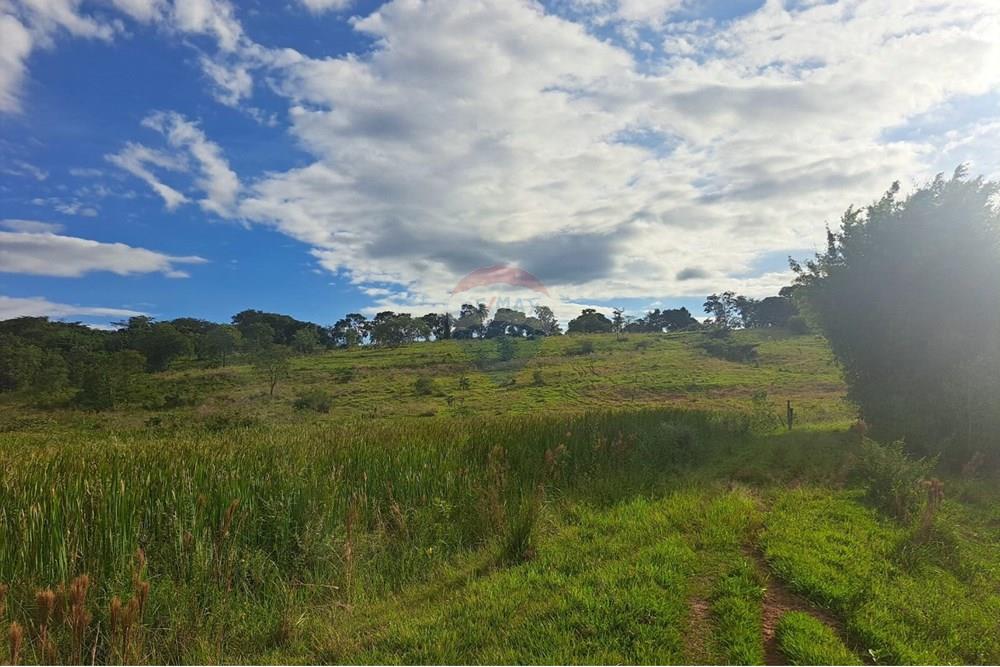 Fazenda - Venda - Cajuru , São Paulo - IMG-20250406-WA0145.jpg - 780171030-57
