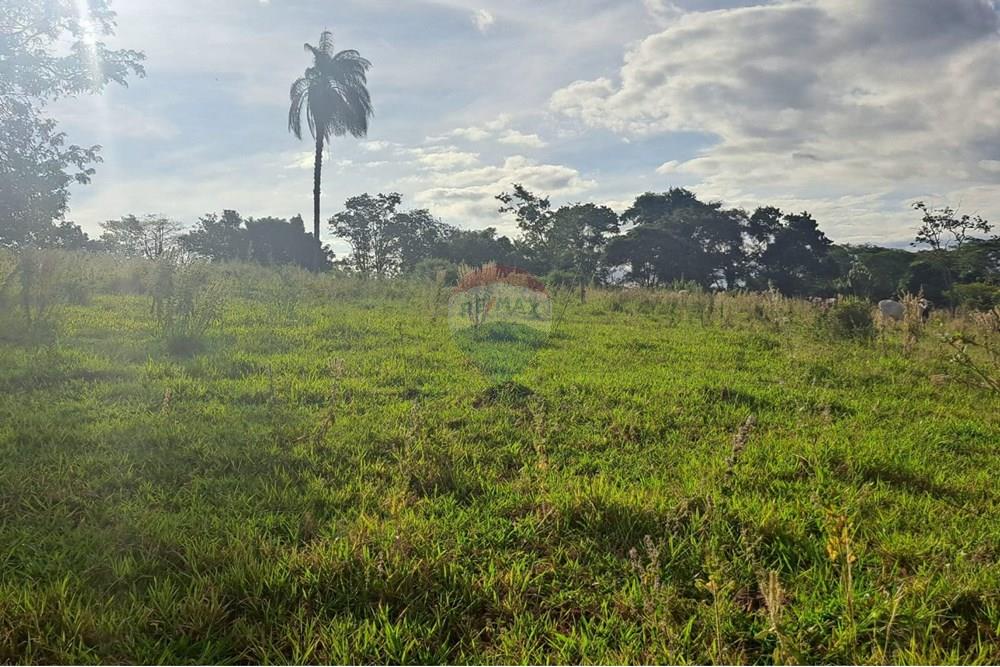 Chácara / Sítio / Fazenda - Venda - Cajuru , São Paulo - IMG-20250406-WA0173.jpg - 780171030-59