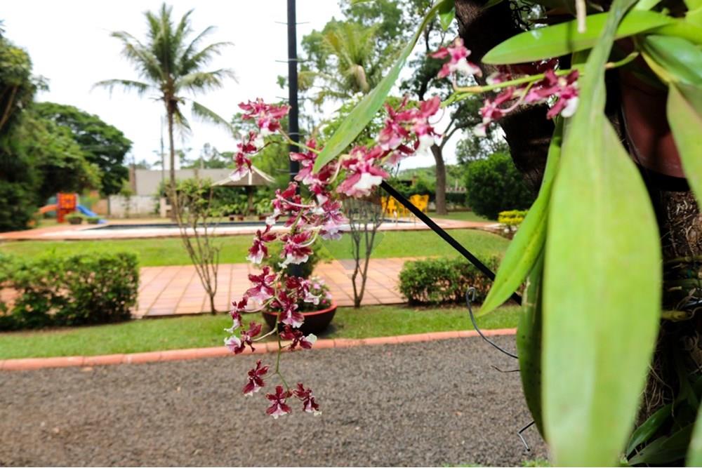 Chácara / Sítio / Fazenda - Venda - Ribeirão Preto , São Paulo - WhatsApp Image 2025-12-10 at 11.00.21 (1).jpeg - 780271023-32