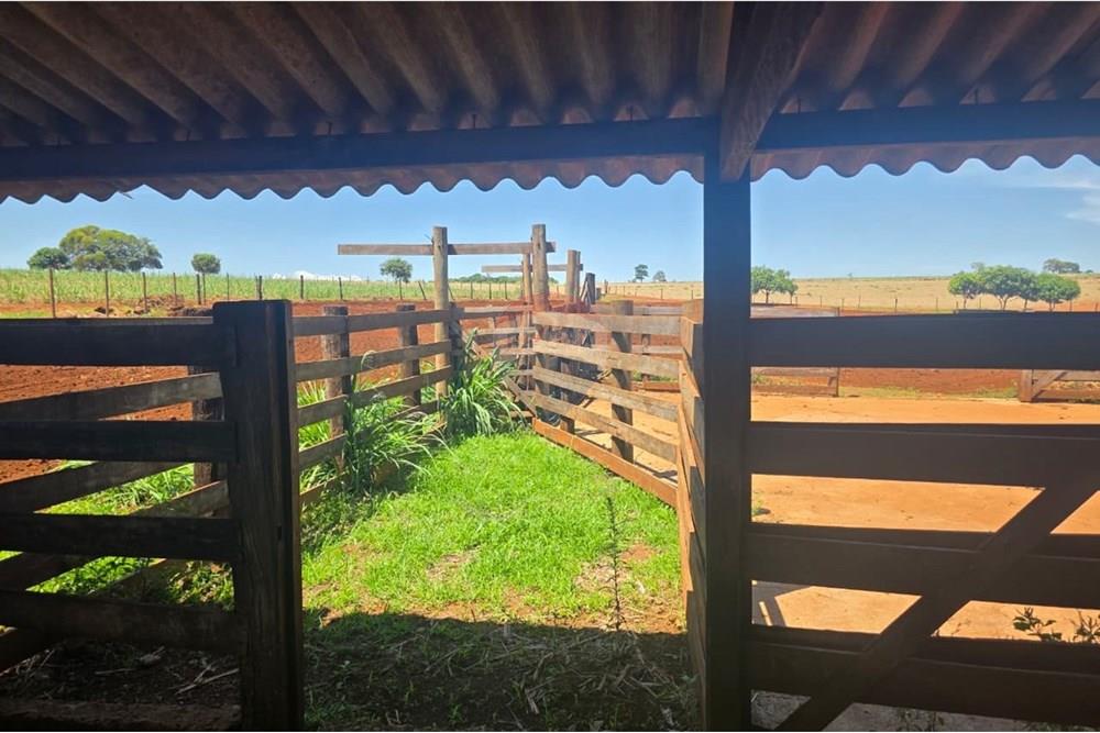 Chácara / Sítio / Fazenda - Venda - Buritizal , São Paulo - WhatsApp Image 2025-11-08 at 17.07.49.jpeg - 780131009-139