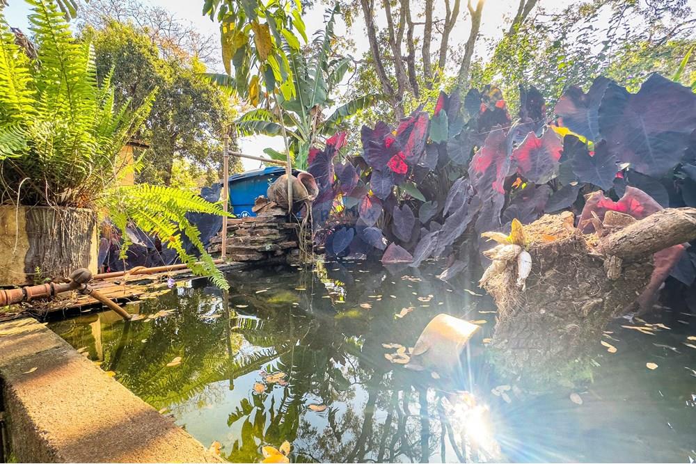 Chácara / Sítio / Fazenda - Venda - Ribeirão Preto , São Paulo - Itanhanga-38.jpg - Jardim Externo - 780071024-78