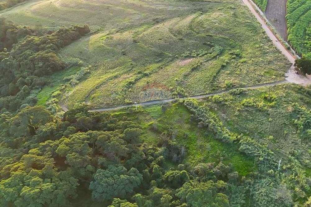 Chácara / Sítio / Fazenda - Venda - Monte Alto , São Paulo - foto 14.jpg - 780271059-44