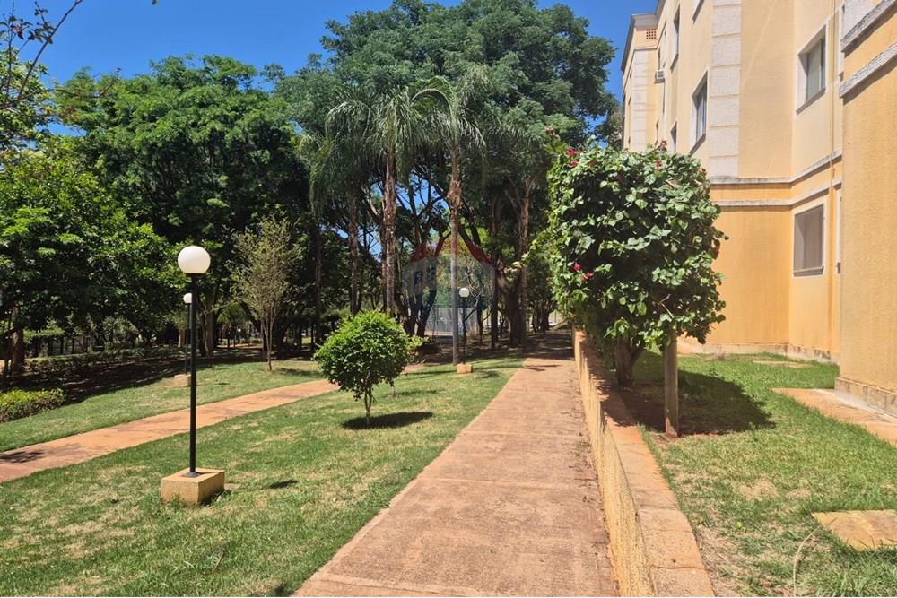 Apartamento - Venda - Ribeirão Preto , São Paulo - Imagem do WhatsApp de 2025-11-06 à(s) 17.03.42_204b7d18.jpg - 780251004-6