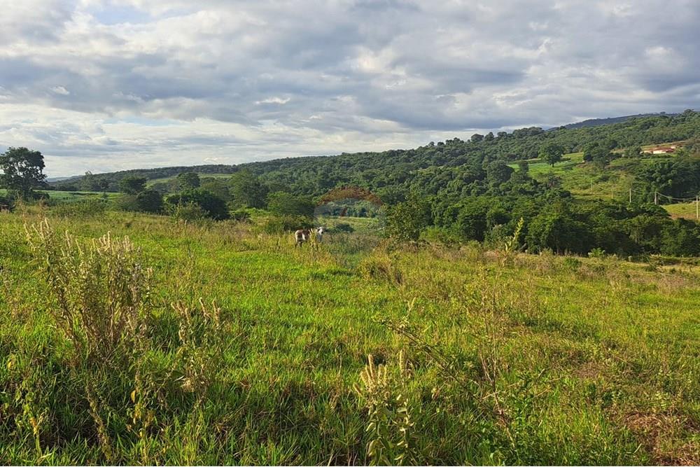 Fazenda - Venda - Cajuru , São Paulo - IMG-20250406-WA0174.jpg - 780171030-57