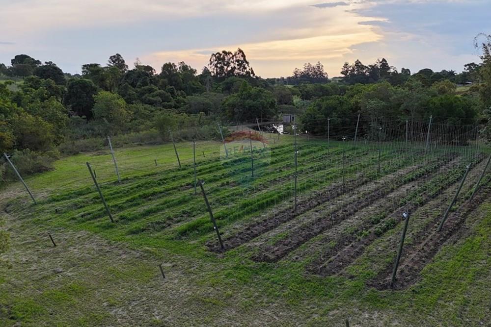 Fazenda - Venda - Cajuru , São Paulo - dji_fly_20241031_172526_0232_1730844750867_photo.jpg - 780271061-50