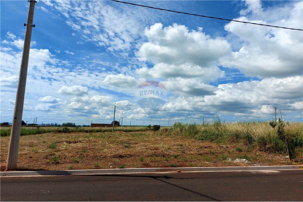 Terreno - Venda - Cravinhos , São Paulo - 3 - 780071037-60