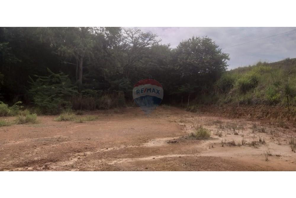 Terreno - Venda - Cristais Paulista , São Paulo - Imagem do WhatsApp de 2025-03-26 à(s) 16.24.23_07d7545b.jpg - 780231035-21