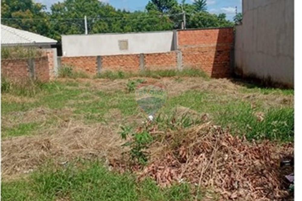 Terreno - Venda - Monte Alto , São Paulo - WhatsApp Image 2026-02-23 at 09.13.31.jpeg - 780271058-14